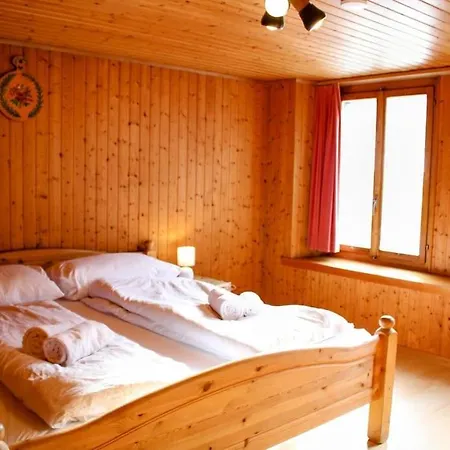 Alpine W/parking And Porch Мейринген