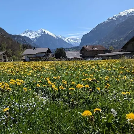 Alpine W/parking And Porch Meiringen