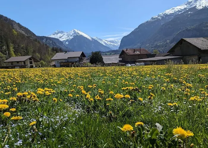 Alpine W/parking And Porch Meiringen
